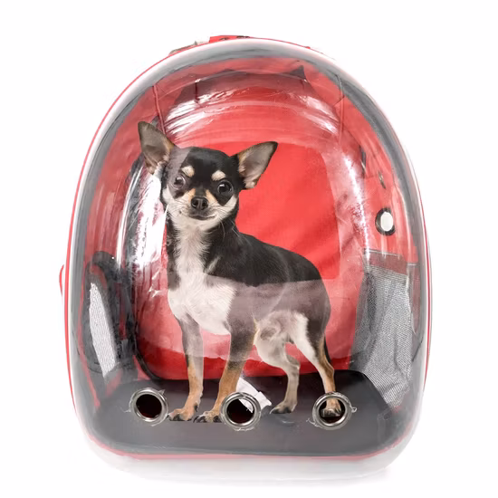 Airline Approved Travel Capsule Knapsack Waterproof Breathable Bag Cat Backpack Dog Pet Supply