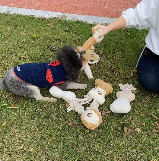 レナペット犬ぬいぐるみ咀嚼きしむインタラクティブゲームソフトぬいぐるみポリコットンロープ動物の形のおもちゃ